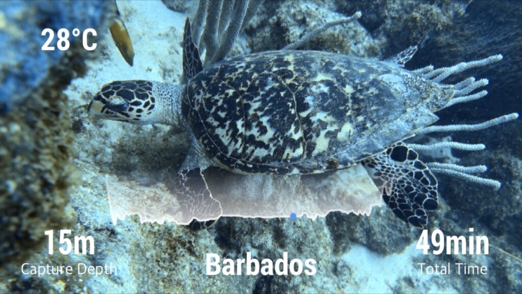 Barbados d. 28. November 2025